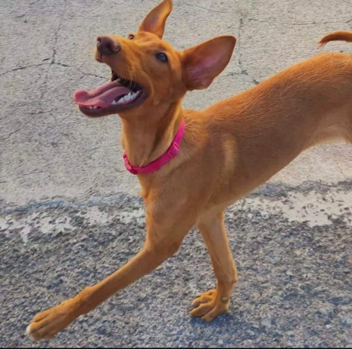 Foto de Fabiola