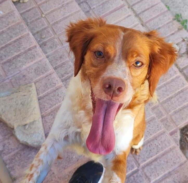 Foto de Kira