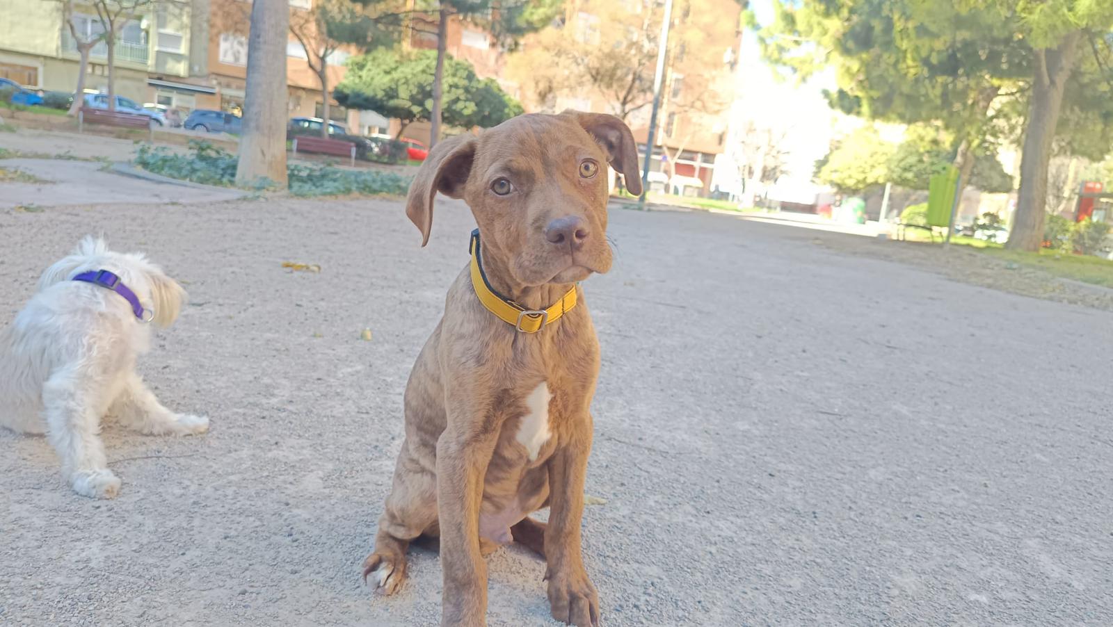 Foto de marte