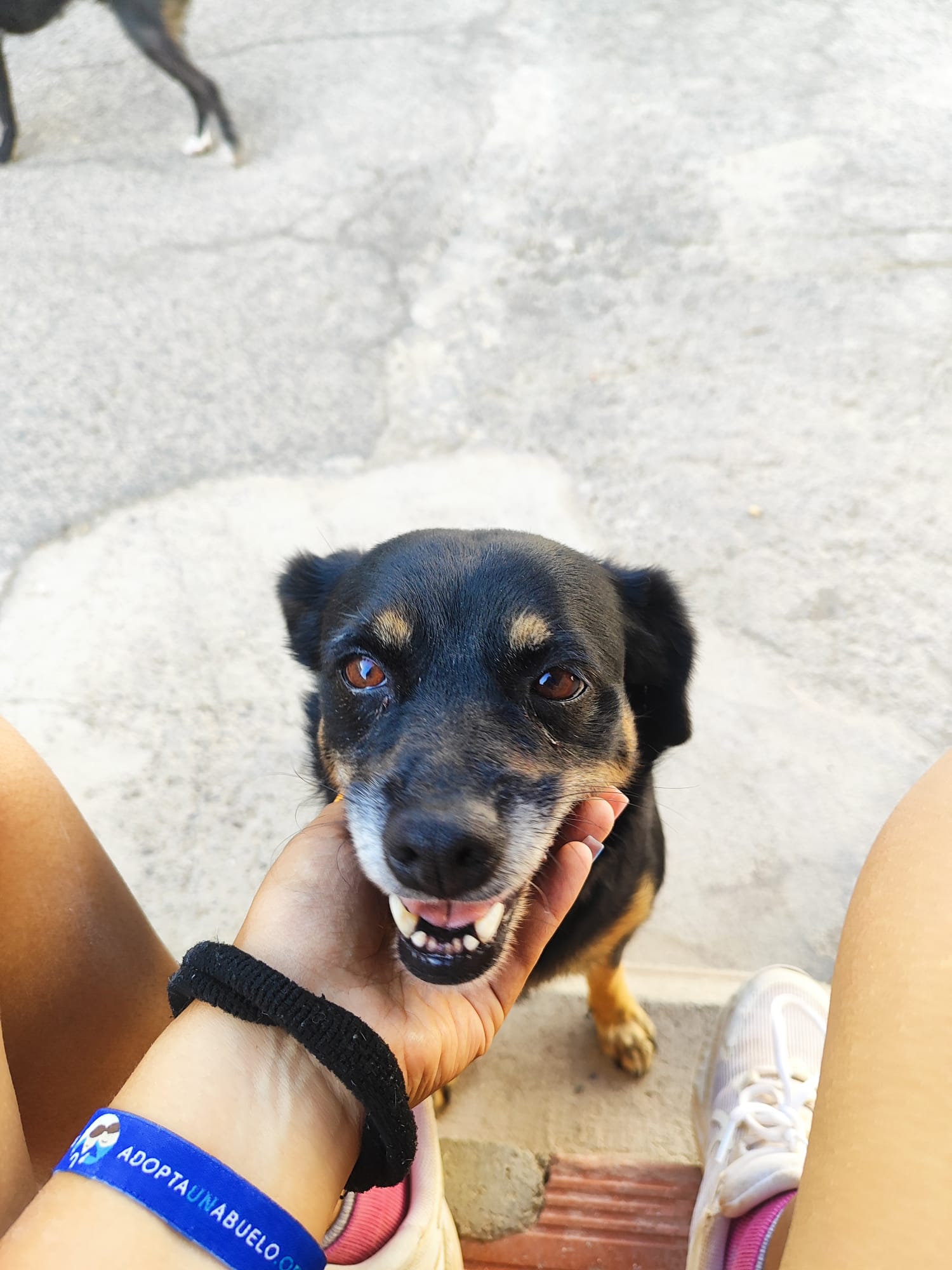 Foto de mina
