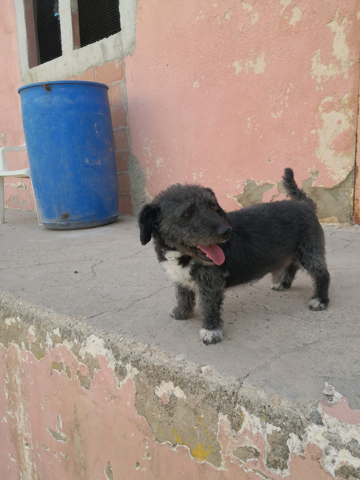 Foto de Negrete