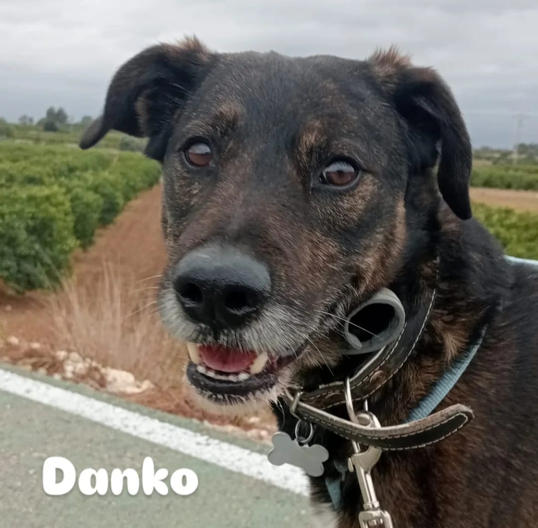 Danko